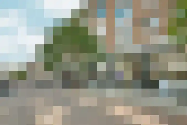 Bagijnenstraat 9 D Rotterdam thumbnail 40