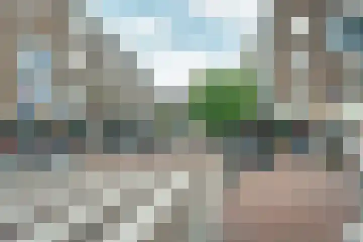 Bagijnenstraat 9 D Rotterdam thumbnail 43
