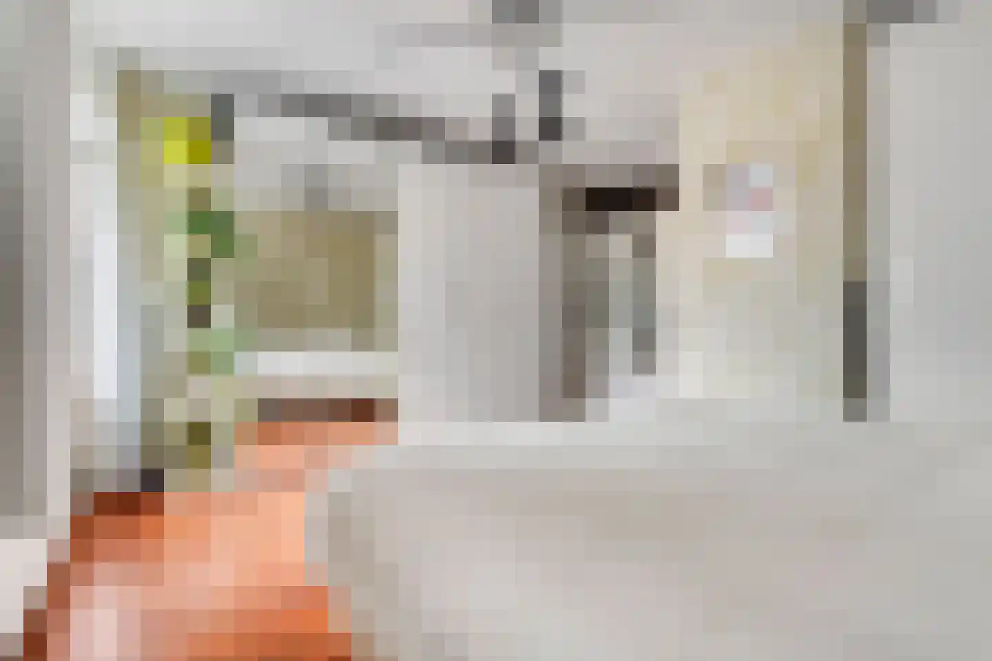 Bagijnenwaard 134 Zoetermeer thumbnail 11