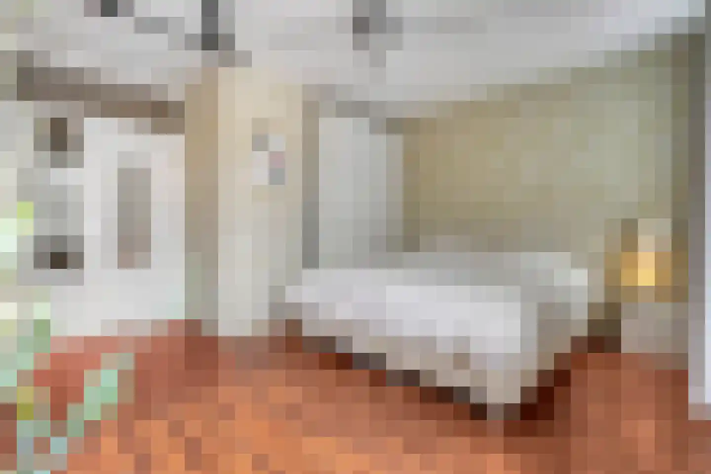 Bagijnenwaard 134 Zoetermeer thumbnail 12