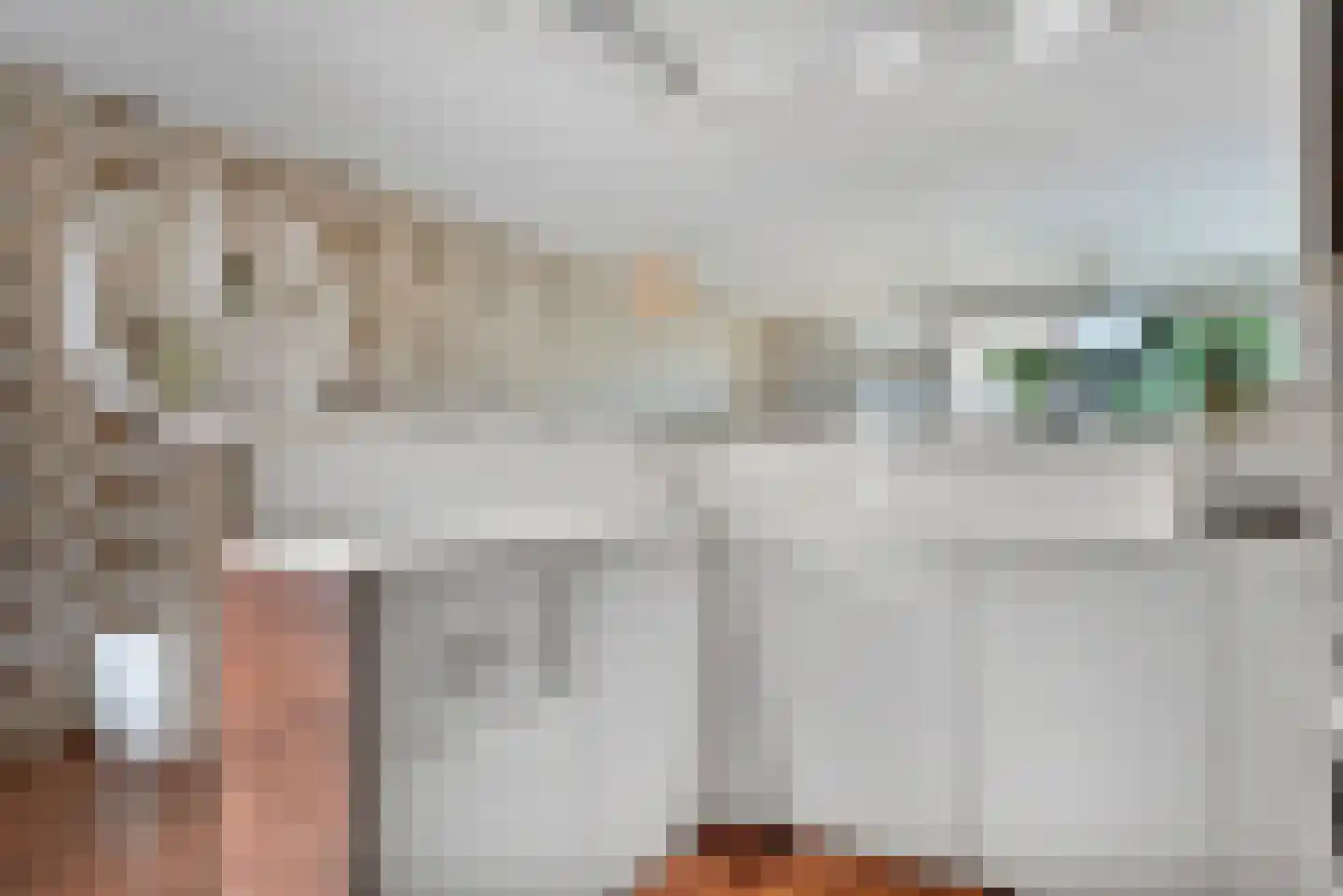 Bagijnenwaard 134 Zoetermeer thumbnail 16