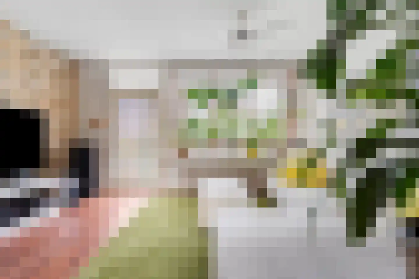 Bagijnenwaard 134 Zoetermeer thumbnail 18