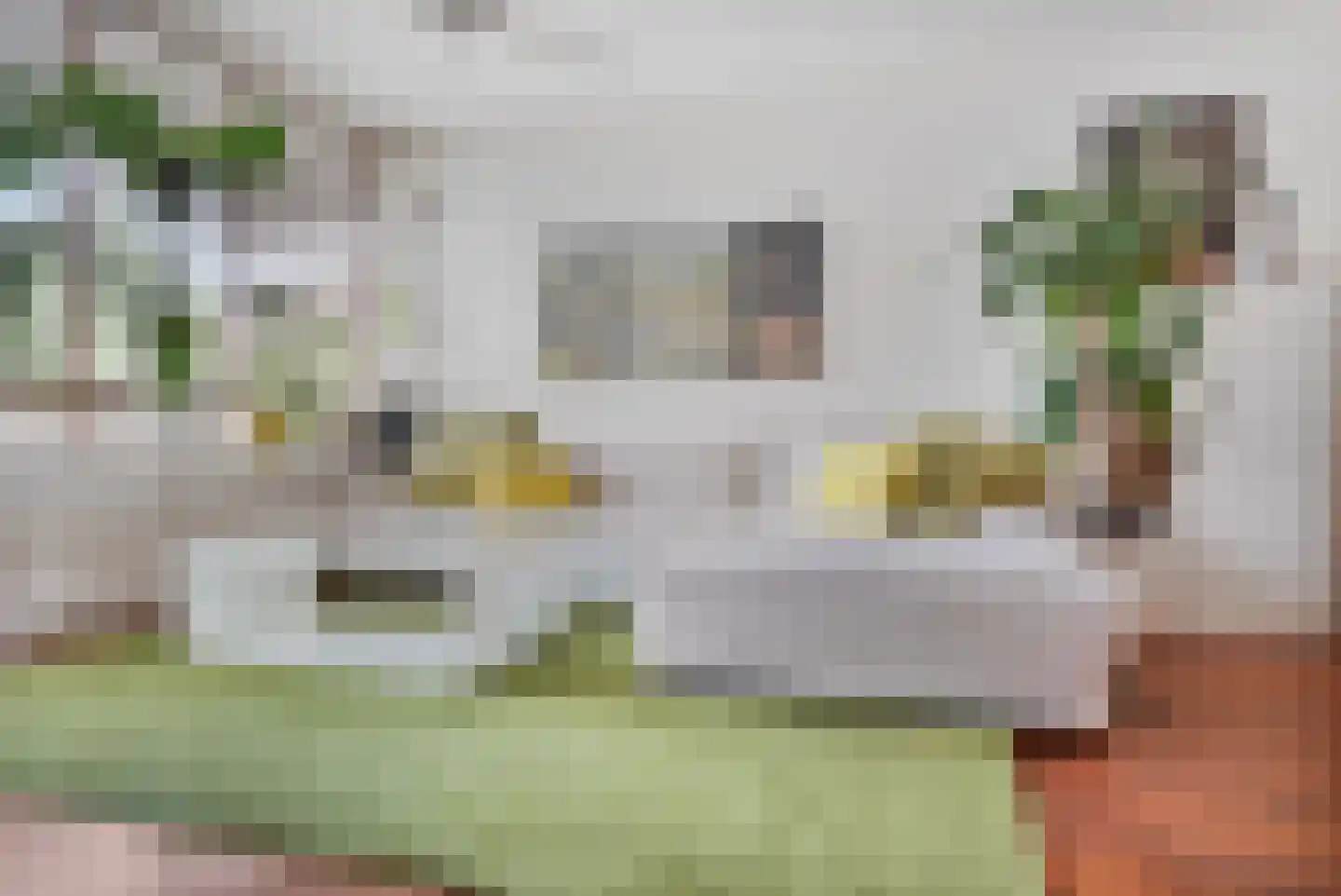 Bagijnenwaard 134 Zoetermeer thumbnail 23