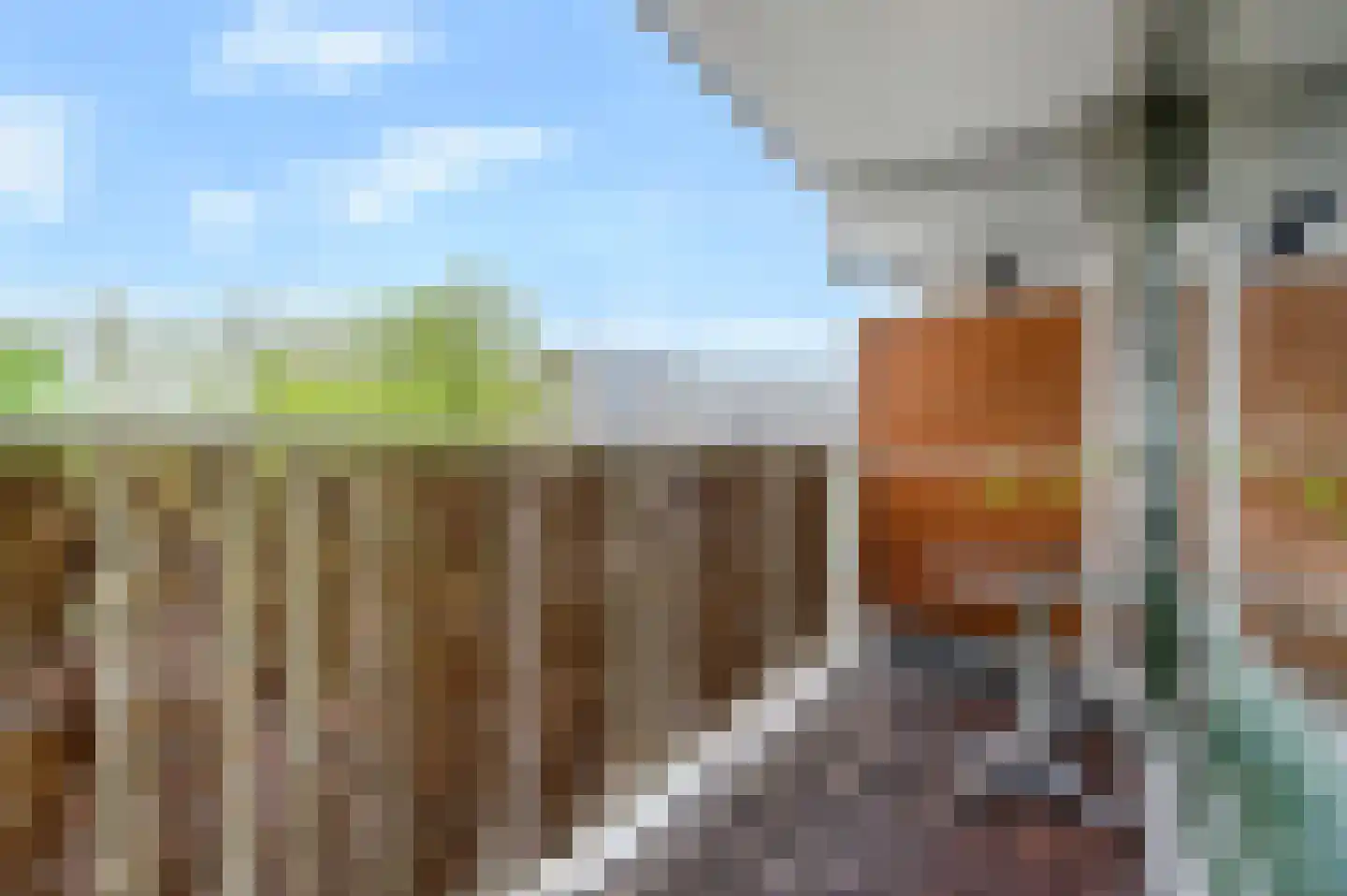 Bagijnenwaard 134 Zoetermeer thumbnail 26