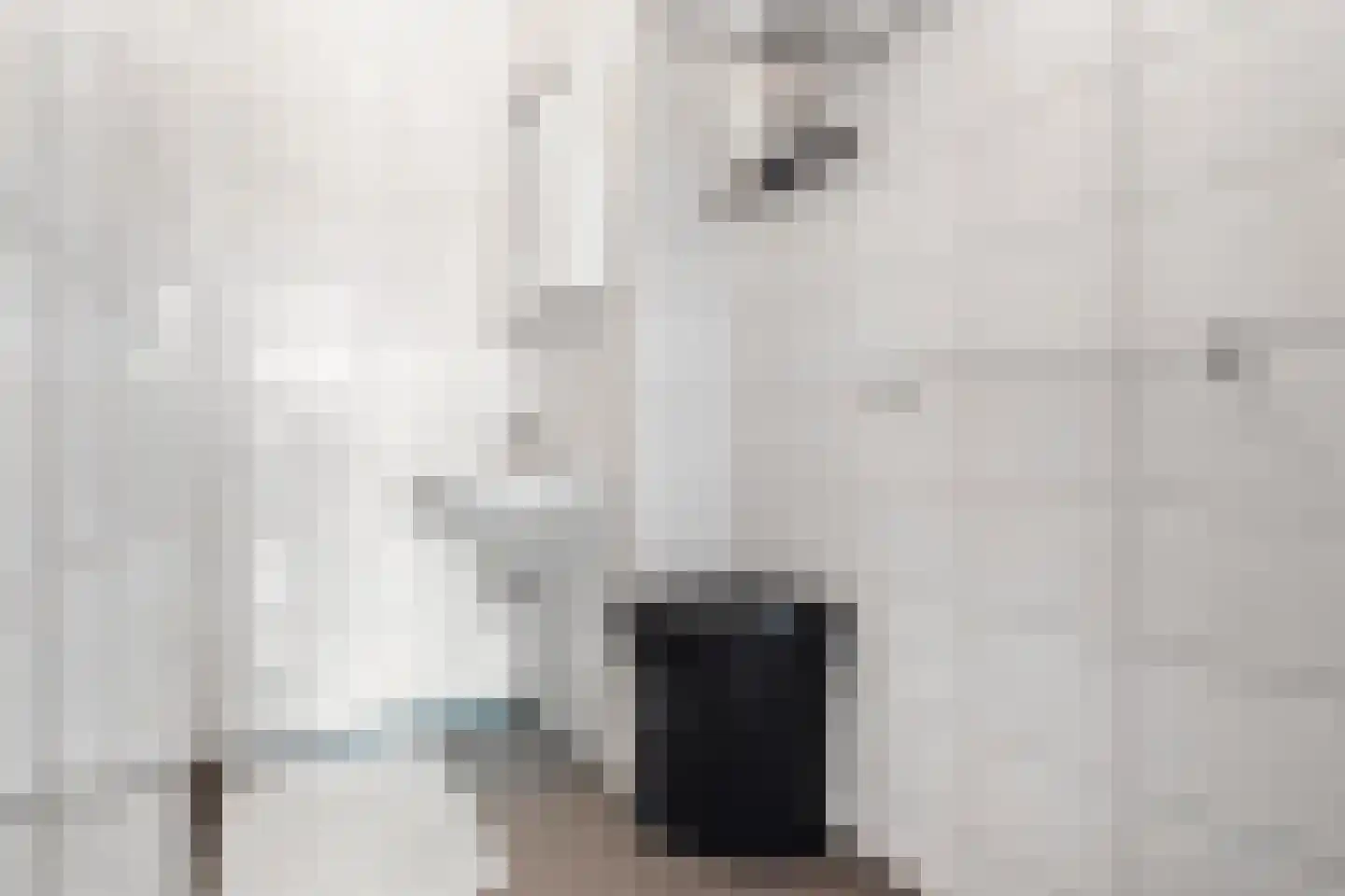 Bagijnenwaard 134 Zoetermeer thumbnail 8
