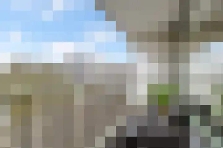 Bagijnenwaard 146 Zoetermeer thumbnail 11