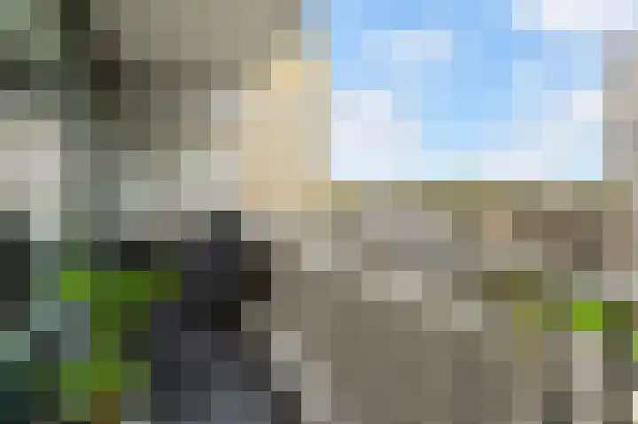 Bagijnenwaard 146 Zoetermeer thumbnail 13