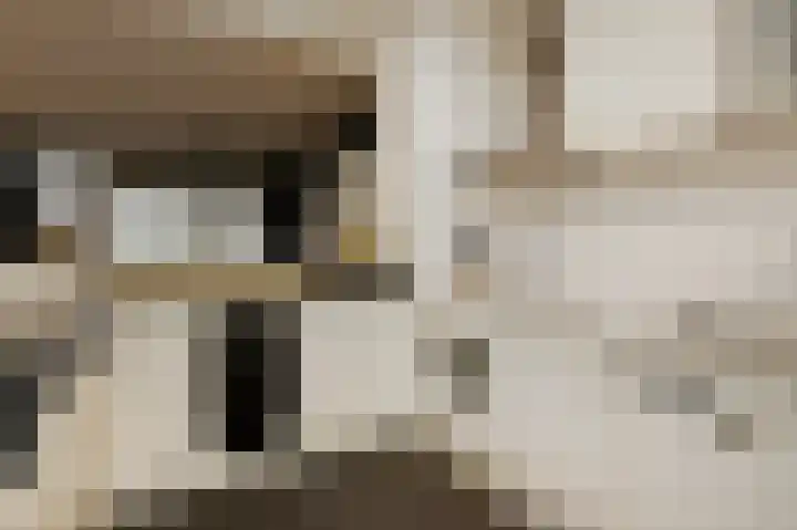 Bagijnenwaard 146 Zoetermeer thumbnail 17