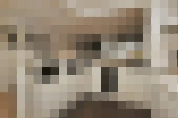 Bagijnenwaard 146 Zoetermeer thumbnail 18