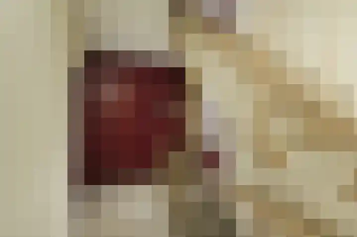 Bagijnenwaard 146 Zoetermeer thumbnail 6