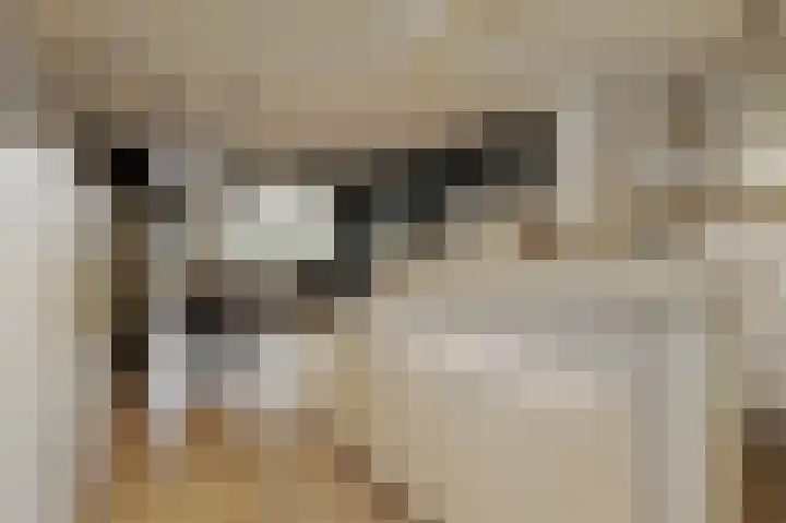 Bagijnenwaard 146 Zoetermeer thumbnail 9