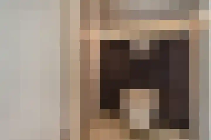 Bagijnenwaard 168 Zoetermeer thumbnail 17