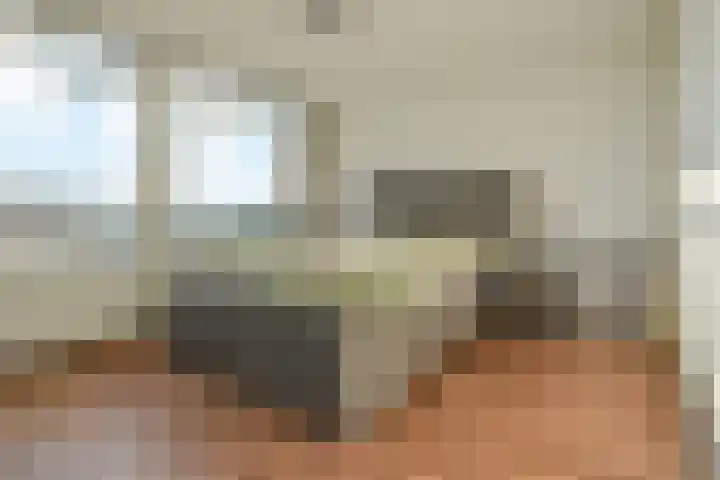 Bagijnenwaard 168 Zoetermeer thumbnail 4