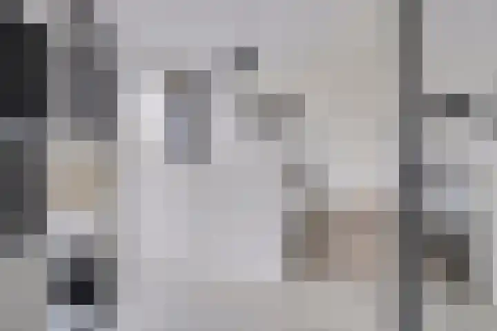 Bagijnenwaard 18 Zoetermeer thumbnail 14