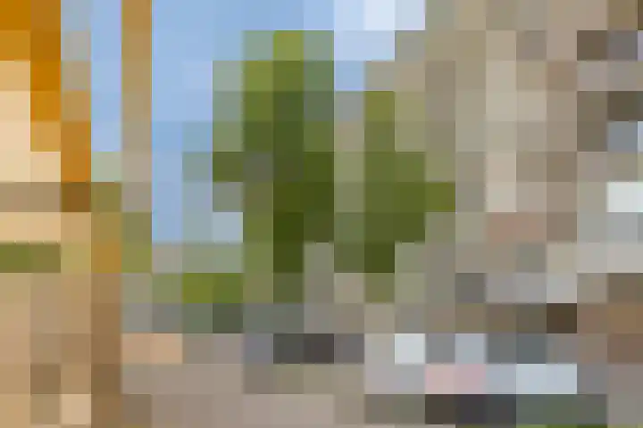 Bagijnenwaard 18 Zoetermeer thumbnail 18
