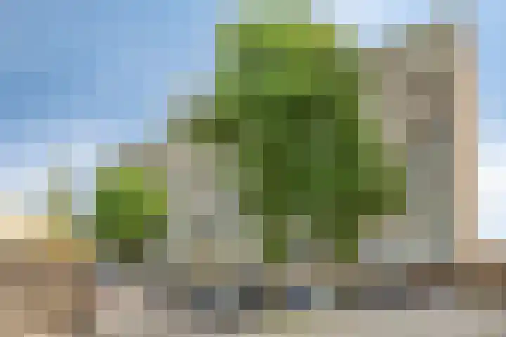 Bagijnenwaard 18 Zoetermeer thumbnail 21