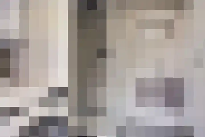 Bagijnenwaard 18 Zoetermeer thumbnail 4