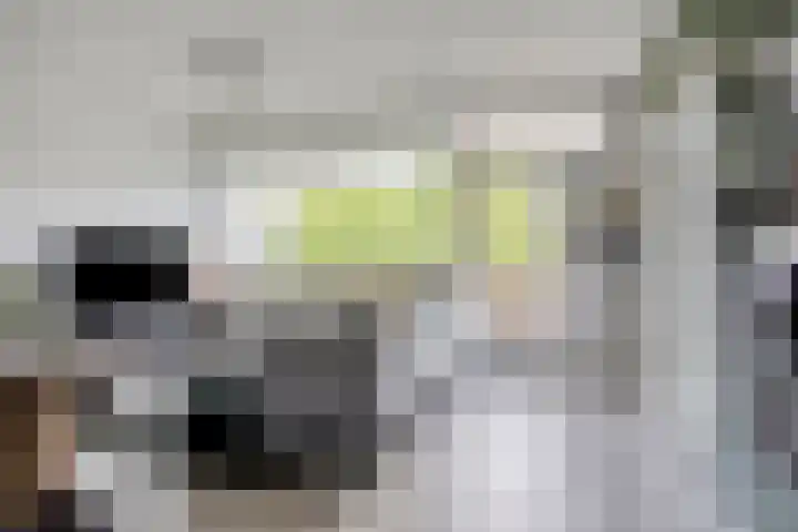 Bagijnenwaard 18 Zoetermeer thumbnail 6