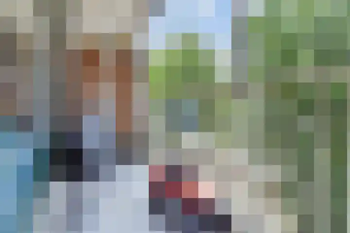 Bagijnenwaard 198 Zoetermeer thumbnail 15