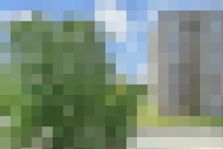 Bagijnenwaard 198 Zoetermeer thumbnail 17