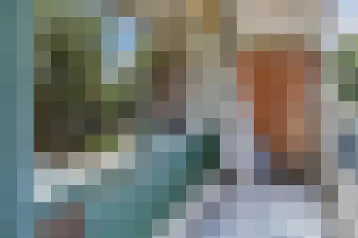 Bagijnenwaard 198 Zoetermeer thumbnail 18
