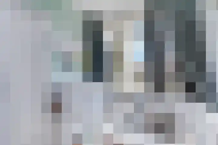 Bagijnenwaard 198 Zoetermeer thumbnail 35