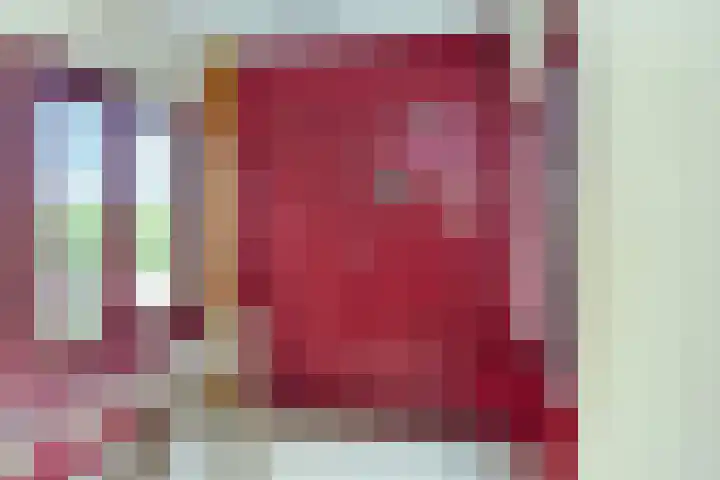 Bagijnenwaard 198 Zoetermeer thumbnail 8