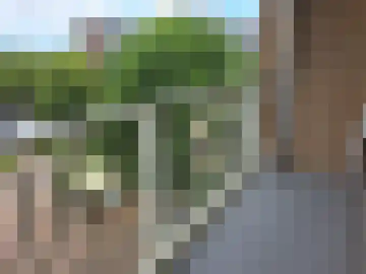 Bagijnenwaard 200 Zoetermeer thumbnail 10