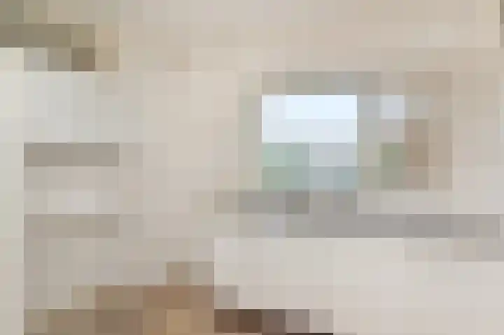 Bagijnenwaard 200 Zoetermeer thumbnail 15