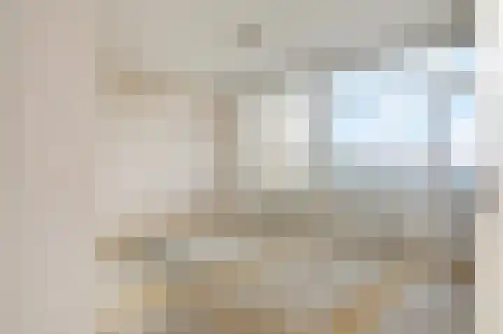 Bagijnenwaard 200 Zoetermeer thumbnail 18
