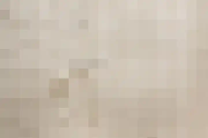 Bagijnenwaard 200 Zoetermeer thumbnail 30