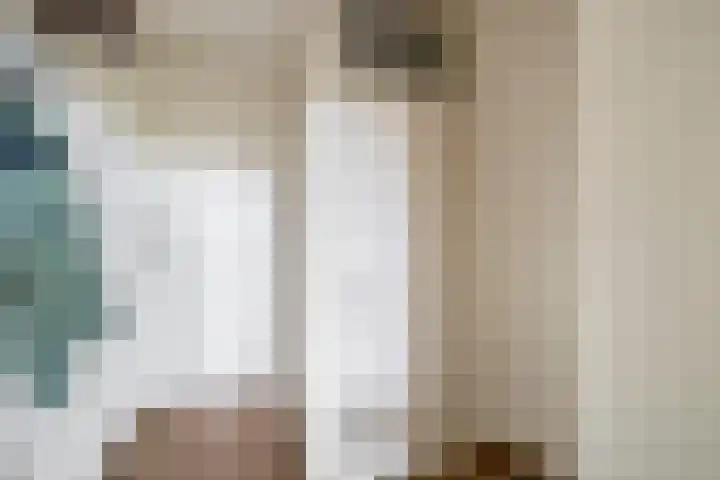 Bagijnenwaard 208 Zoetermeer thumbnail 12