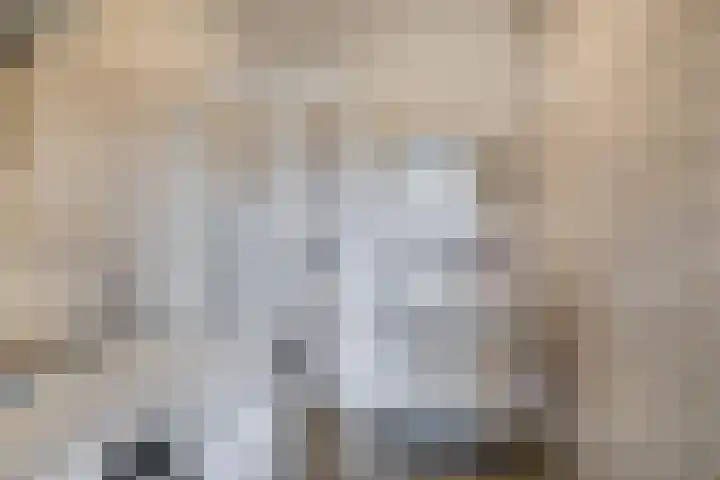 Bagijnenwaard 208 Zoetermeer thumbnail 16