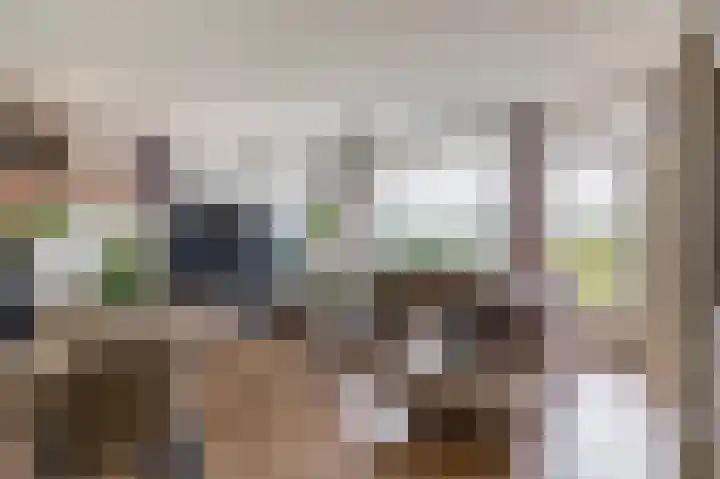 Bagijnenwaard 208 Zoetermeer thumbnail 4