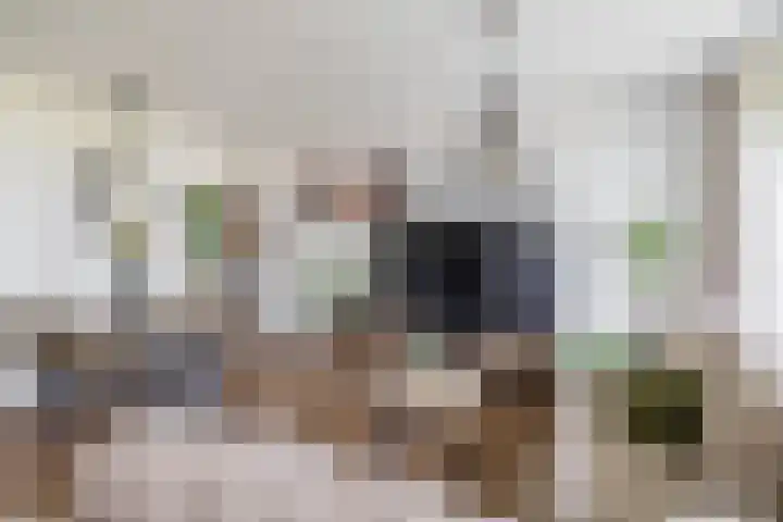 Bagijnenwaard 208 Zoetermeer thumbnail 5