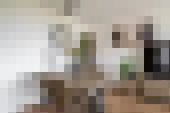 Bagijnenwaard 208 Zoetermeer thumbnail 6