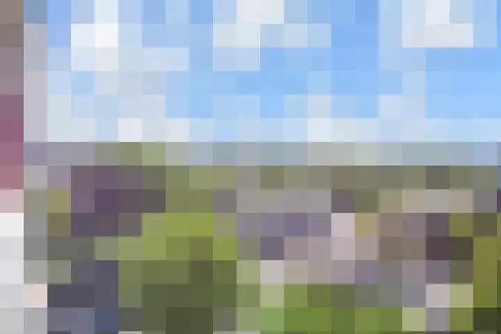 Bagijnenwaard 222 Zoetermeer thumbnail 29