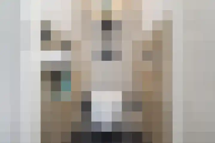 Bagijnenwaard 222 Zoetermeer thumbnail 7
