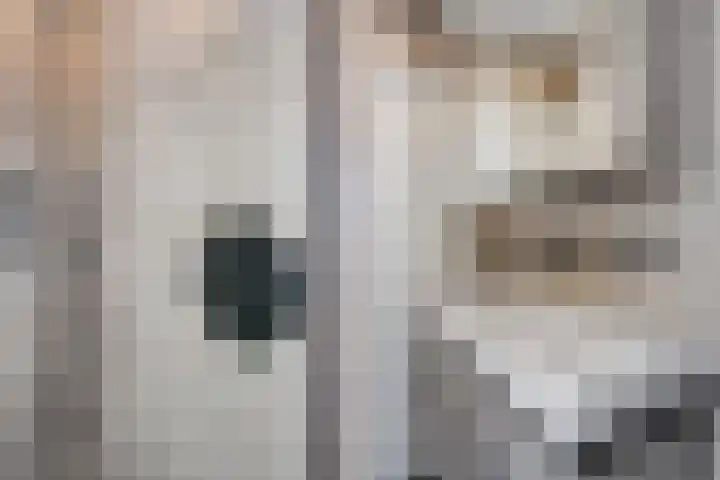Bagijnenwaard 222 Zoetermeer thumbnail 9