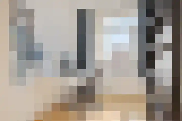 Bagijnenwaard 272 Zoetermeer thumbnail 16