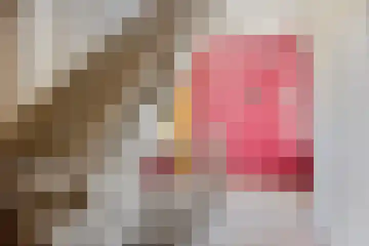 Bagijnenwaard 272 Zoetermeer thumbnail 21