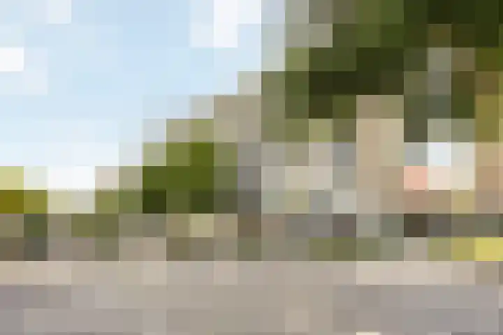Bagijnenwaard 272 Zoetermeer thumbnail 28