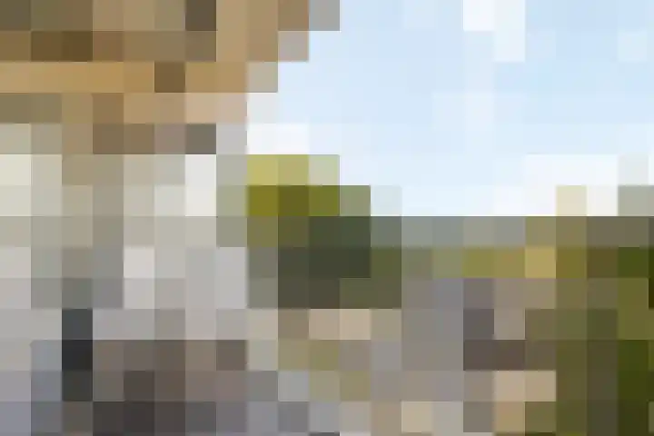 Bagijnenwaard 272 Zoetermeer thumbnail 5