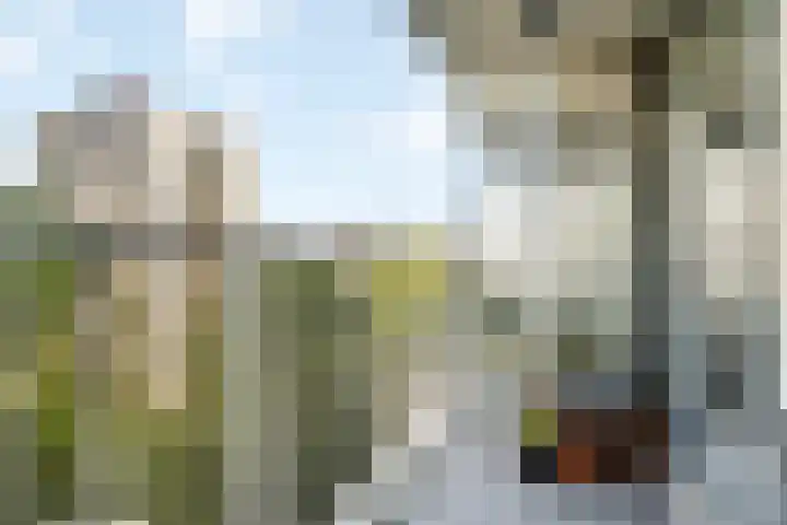 Bagijnenwaard 272 Zoetermeer thumbnail 6
