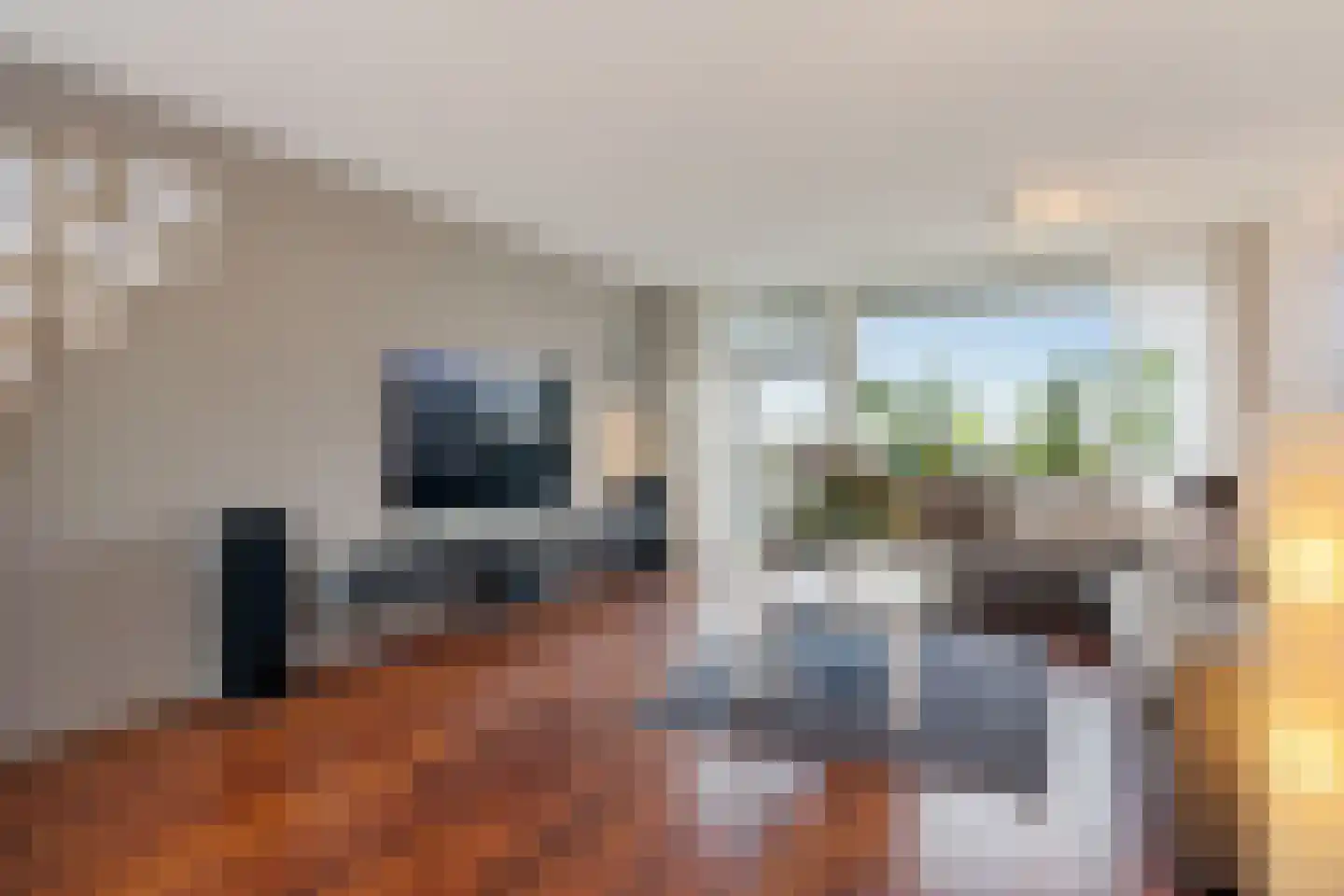 Bagijnenwaard 292 Zoetermeer thumbnail 15