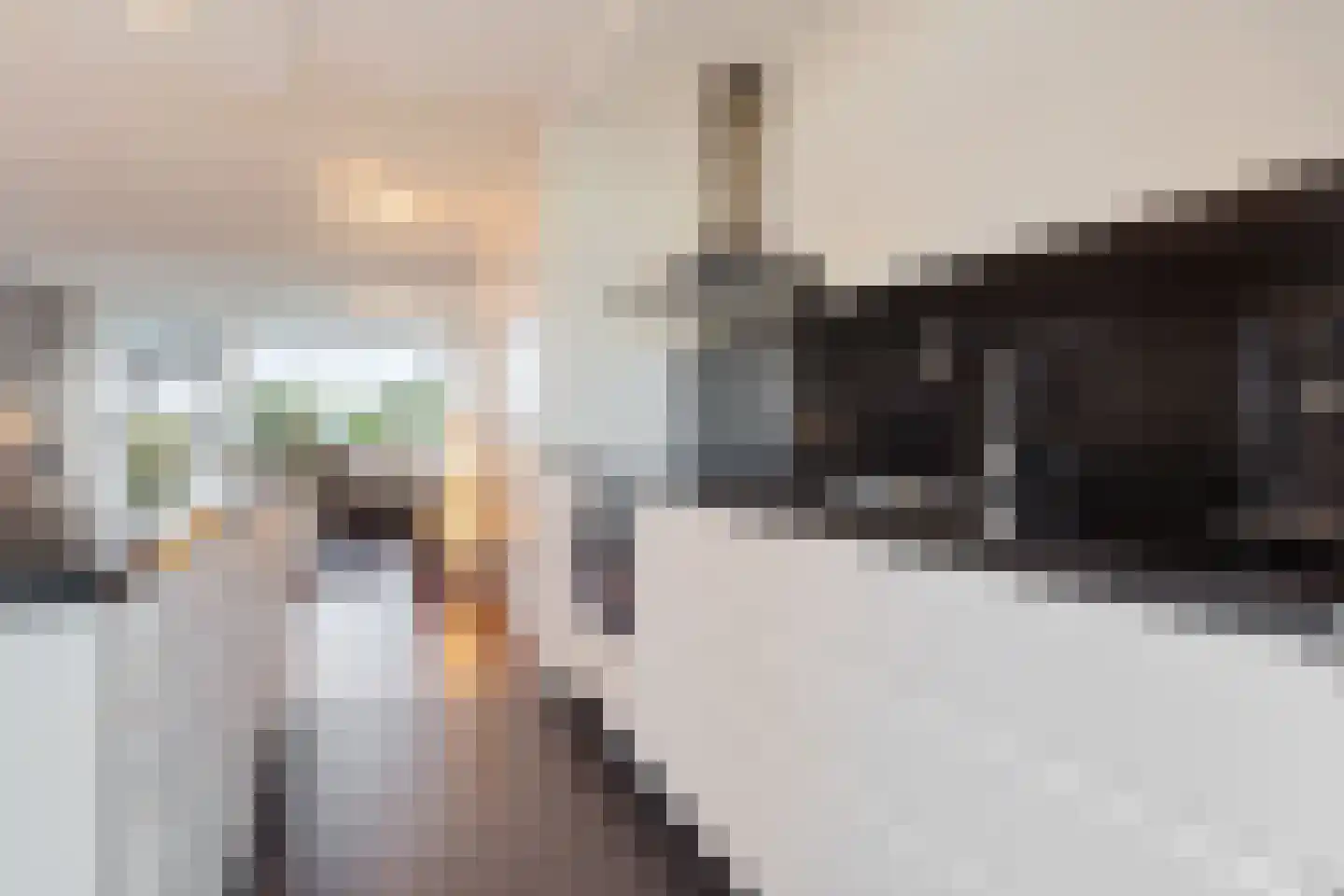 Bagijnenwaard 292 Zoetermeer thumbnail 25