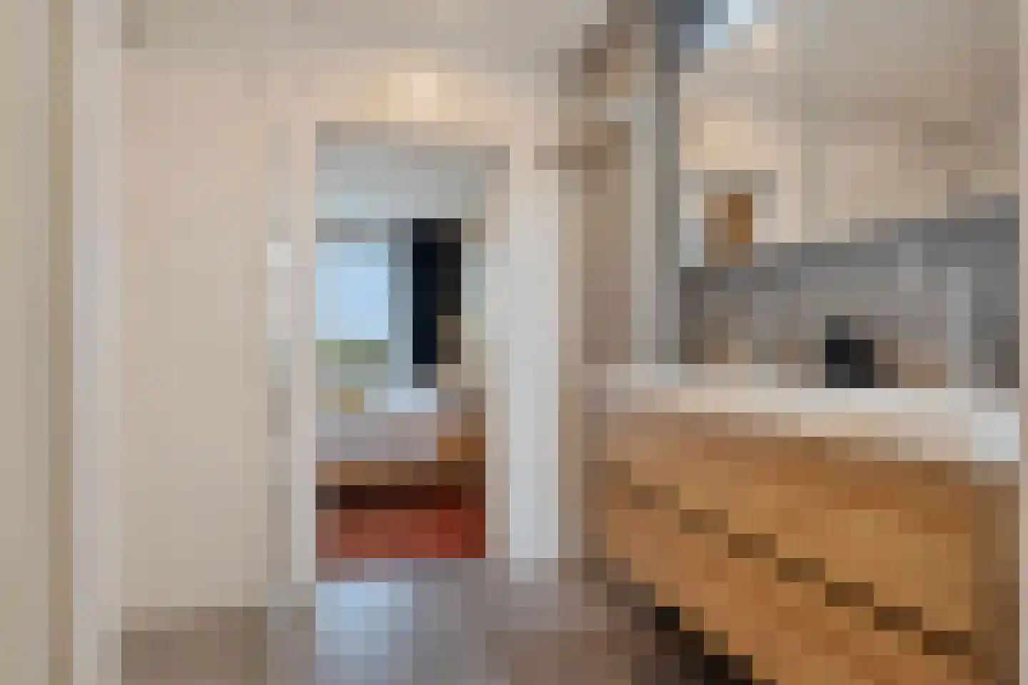 Bagijnenwaard 292 Zoetermeer thumbnail 37