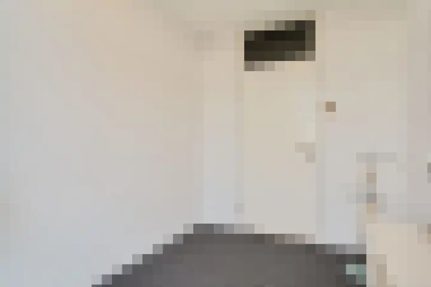 Bagijnenwaard 292 Zoetermeer thumbnail 42