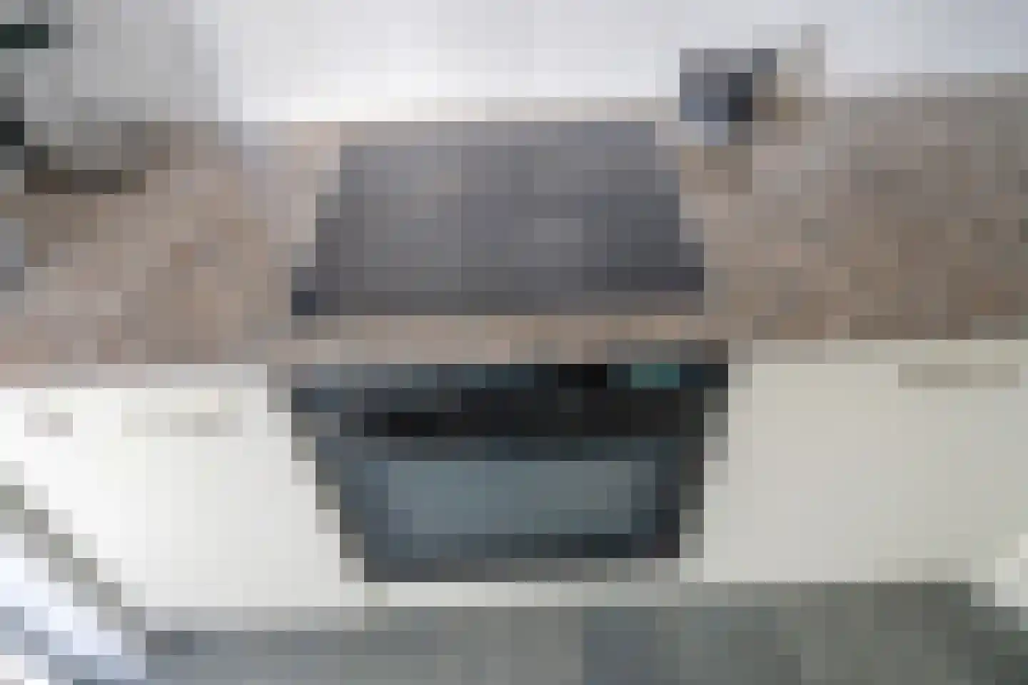 Bagijnenwaard 308 Zoetermeer thumbnail 13