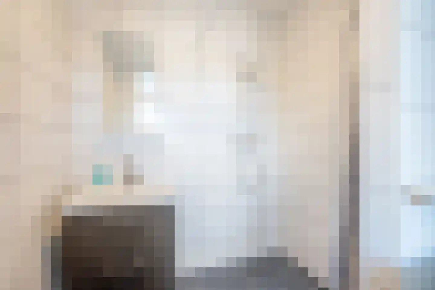 Bagijnenwaard 308 Zoetermeer thumbnail 4